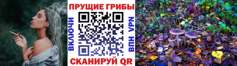 Галлюциногенные грибы Psilocybe  Демидов 